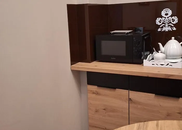 ホステル Gornoslaska 19 *